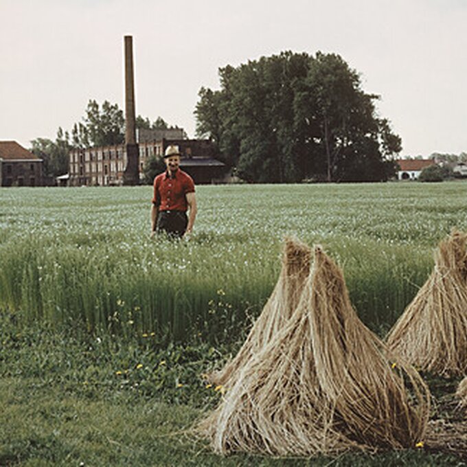 Expo Flax DNA
